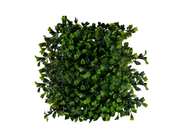 Bush PNG free Image Download 26