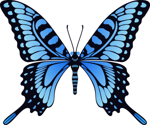 Butterfly Png Blue