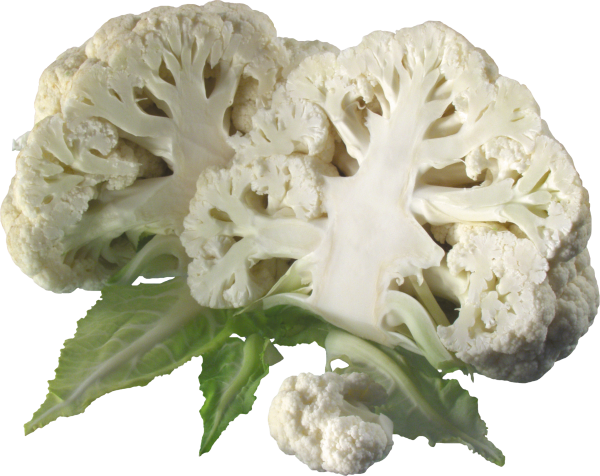 Cabbage PNG free Image Download 10