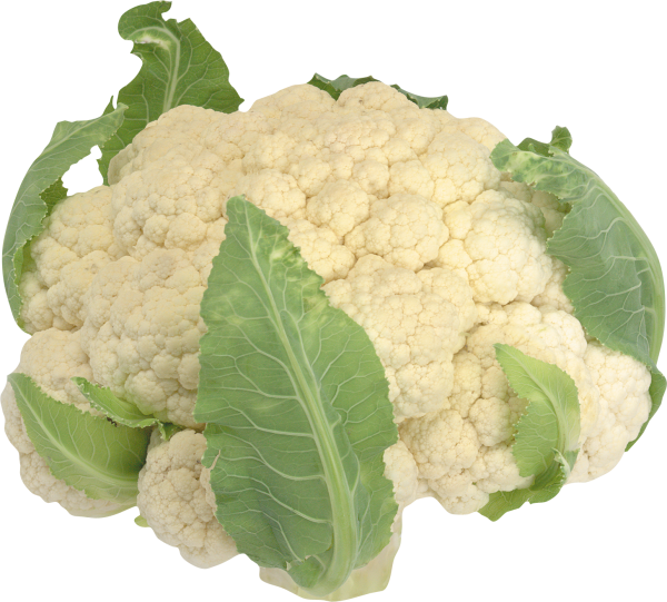Cabbage PNG free Image Download 11