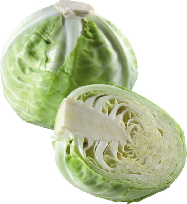 Cabbage PNG free Image Download 21