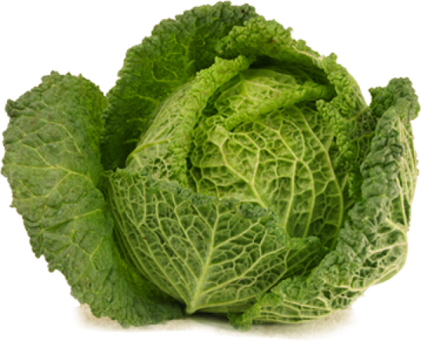 Cabbage PNG free Image Download 43