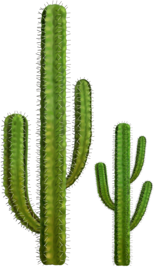 castus PNG free Image Download 2