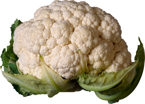 cauliflower PNG free Image Download 13