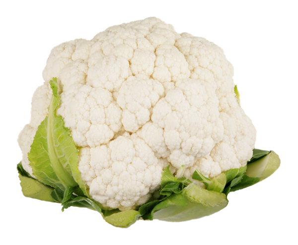 cauliflower PNG free Image Download 20