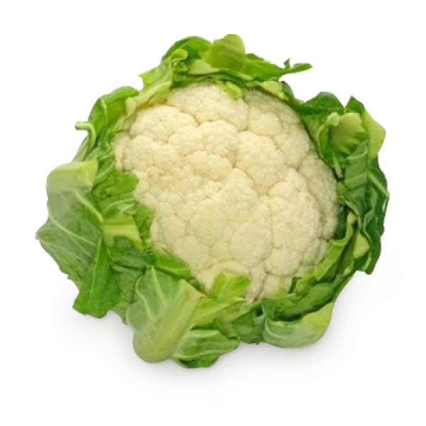 cauliflower PNG free Image Download 23