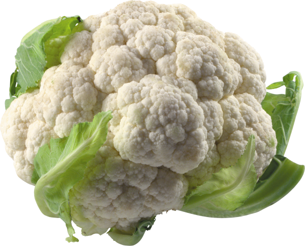 cauliflower PNG free Image Download 7
