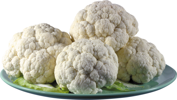 cauliflower PNG free Image Download 8