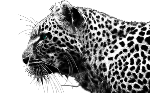 Cheetah Face Png