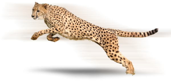 Cheetah Jaquar Logo Png