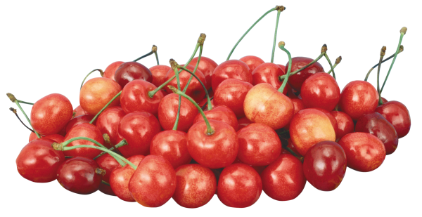 cherry png free download 26