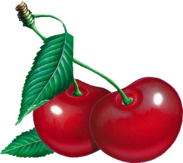 cherry png free download 39