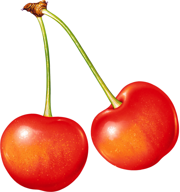 cherry png free download 7