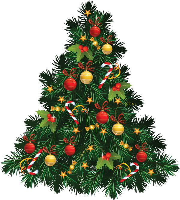 Christmas Tree Png
