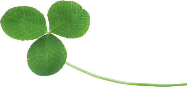clover png free download 3
