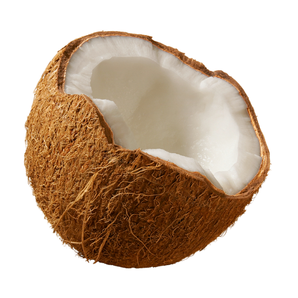 coconut png free download 25