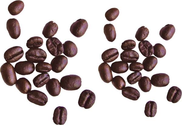 coffee beans png free download 2