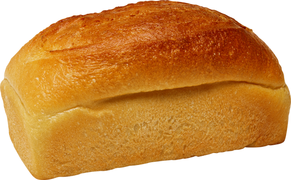 cooked full breed  free png download