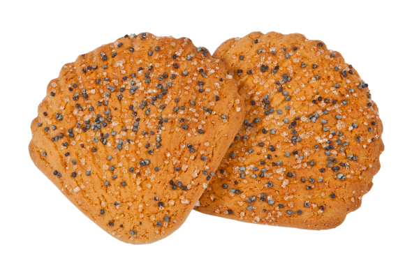 cookie png free download 15