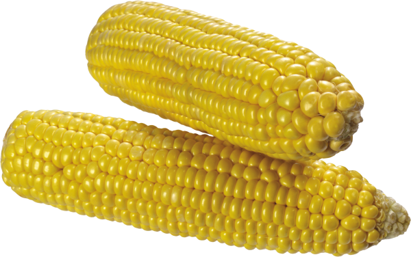 corn png free download 12
