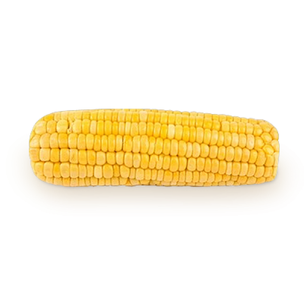 corn png free download 23