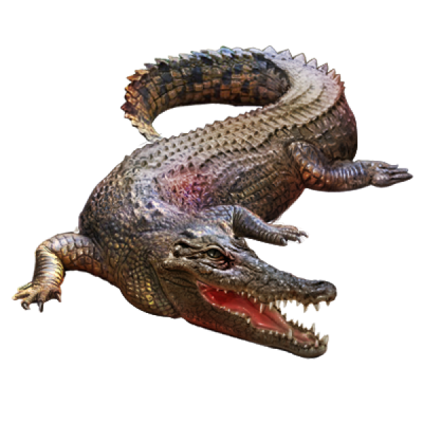 Crocodile Png clipart
