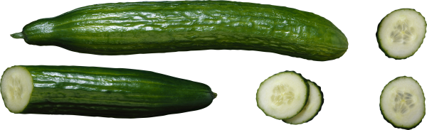 cucumber png free download 10