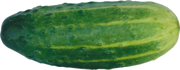 cucumber png free download 11