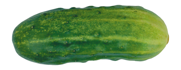 cucumber png free download 12