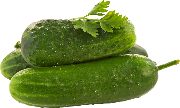 cucumber png free download 14