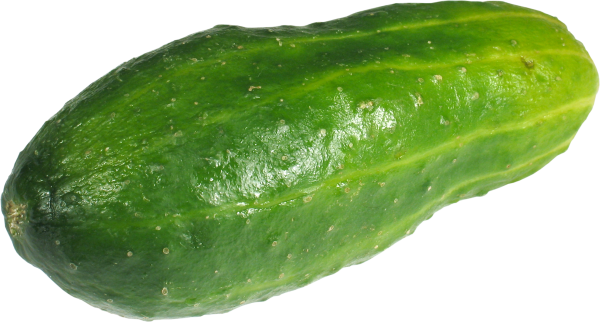 cucumber png free download 17