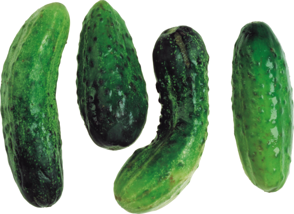 cucumber png free download 19