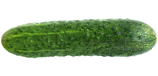 cucumber png free download 2