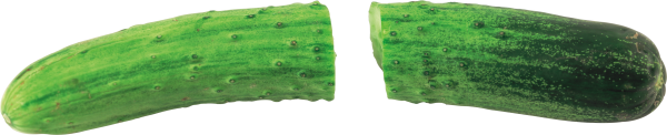 cucumber png free download 22