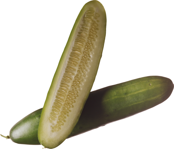 cucumber png free download 23