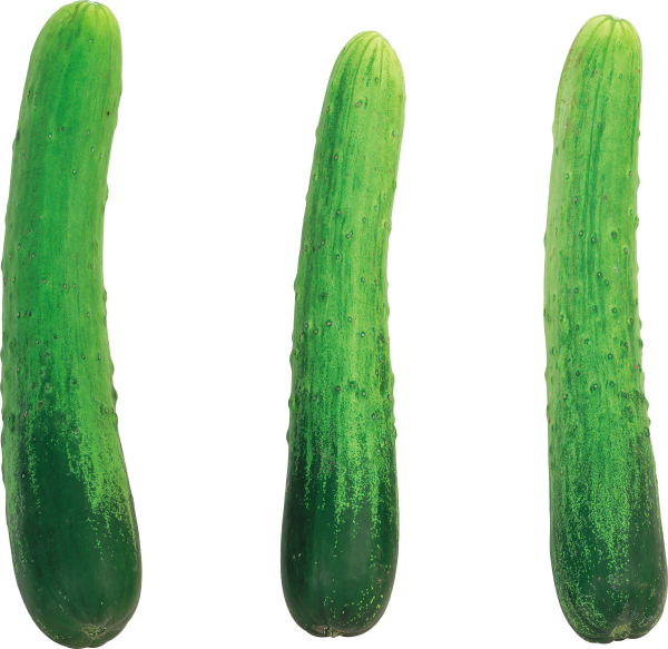 cucumber png free download 24