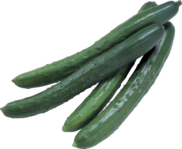 cucumber png free download 27
