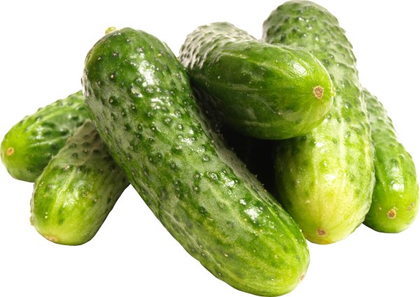 cucumber png free download 29