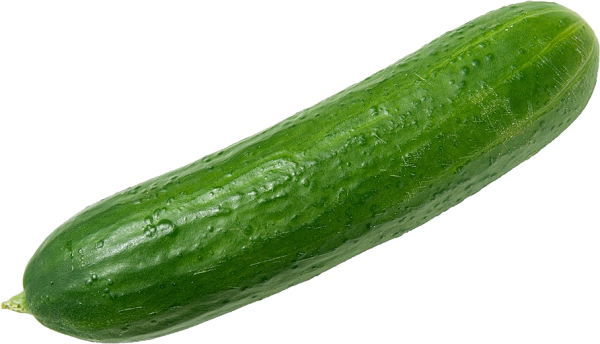 cucumber png free download 3
