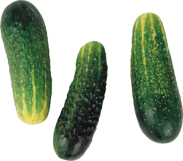 cucumber png free download 30