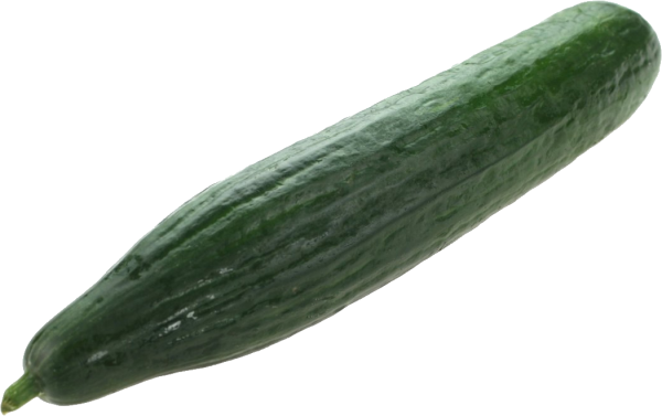cucumber png free download 5