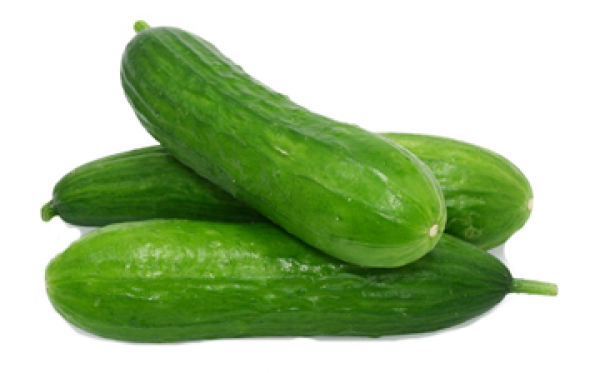 cucumber png free download 7