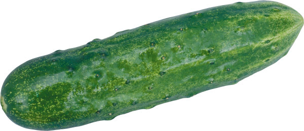 cucumber png free download 9