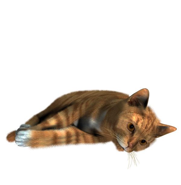 Cute Cat Sleeping Png