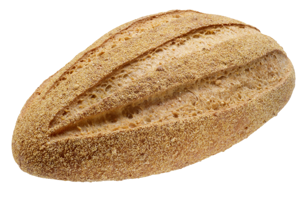 cutted round breed  free png image download