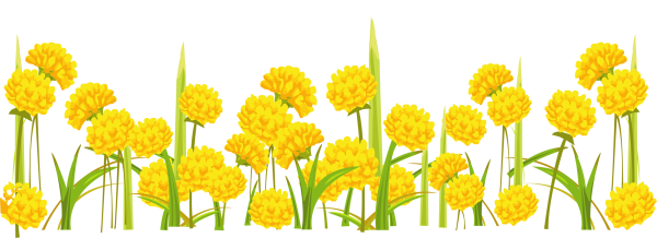 dandelion png free download 9