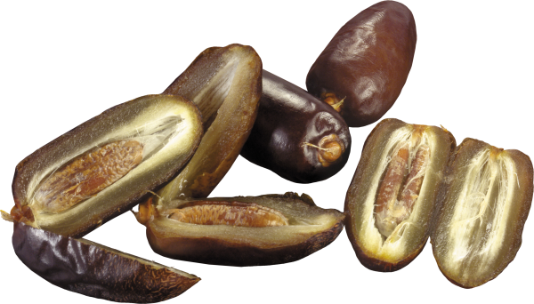 dates png free download 1
