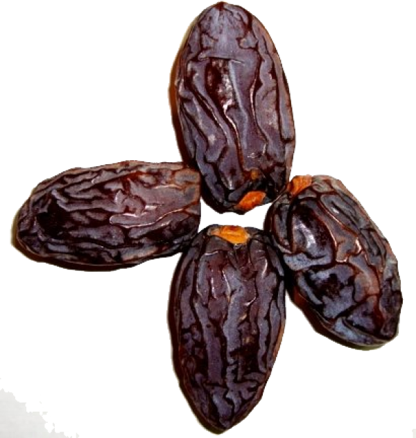dates png free download 18