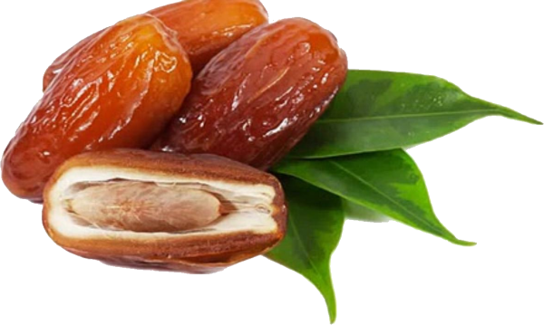 dates png free download 26