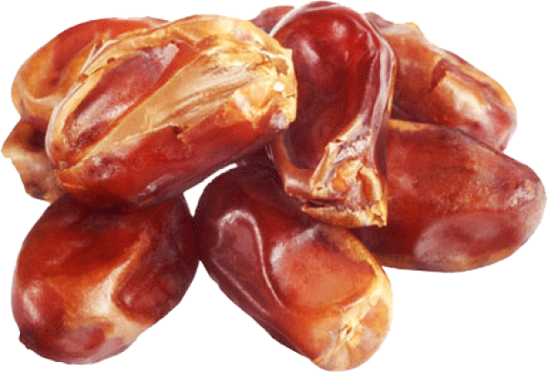dates png free download 31